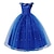 cheap Movie &amp; TV Theme Costumes-Cinderella Fairytale Princess Flower Girl Dress Theme Party Costume Tulle Dresses Girls&#039; Movie Cosplay Blue (With Accessories) Dress Halloween Carnival Masquerade World Book Day Costumes