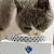 tanie Obroże, uprzęże i smycze dla psów-2 sztuk perły diament pet kot pies naszyjnik obroża biżuteria z bling dżetów dla zwierząt domowych koty małe psy kobieta szczeniak chihuahua yorkies dziewczyna kostium stroje regulowane
