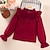 preiswerte Sets-2 Stück kinderkleidung Mädchen Feste Farbe Rock Hemd einstellen Langarm Aktiv Outdoor 7-13 Jahre Winter Rote