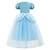 cheap Movie &amp; TV Theme Costumes-Cinderella Fairytale Princess Flower Girl Dress Theme Party Costume Tulle Dresses Girls&#039; Movie Cosplay Halloween With Accessories Halloween Carnival Masquerade Cotton World Book Day Costumes