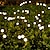 Недорогие Подсветки дорожки и фонарики-5 упаковок солнечных огней светлячков наружный водонепроницаемый садовый свет дистанционное управление солнечная / питание от USB 8 режимов освещения солнечные качающиеся огни внутренний двор патио