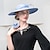 Недорогие Шляпы для вечеринки-Модные элегантные шляпы из полиэстера с перьями, 1 шт., свадебные/вечерние/вечерние головные уборы