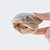baratos Sapatilhas de Ballet-Sapatos de balé femininos sapatilhas dobráveis para prática treinamento sapatos de dança performance palco interior forrado de pele quente salto plano rosa bege