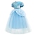 cheap Movie &amp; TV Theme Costumes-Cinderella Fairytale Princess Flower Girl Dress Theme Party Costume Tulle Dresses Girls&#039; Movie Cosplay Halloween With Accessories Halloween Carnival Masquerade Cotton World Book Day Costumes