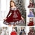 economico Abiti natalizi per bambini-Bambino Da ragazza Vestito di Natale Vestito Abito fiocco di neve Animali Ogni Fiocco di neve Manica lunga Informale Girocollo Adorabile Giornaliero Poliestere Sopra il ginocchio Abito casual Vestito