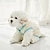 Χαμηλού Κόστους Ρούχα για σκύλους-παλτό σκύλου, μπλοκ χρώματος γιλέκου σκύλου συνηθισμένα χειμερινά ρούχα για σκύλους εξωτερικού χώρου για κουτάβι ρούχα για σκύλους ζεστό μπλε κίτρινο ροζ ροζ κοστούμι για κορίτσι και αγόρι ύφασμα