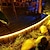 abordables Contrôle à distance-5m 10m usb charge télécommande solaire led lampe avec lampe extérieure led lampe avec jardin chaîne lampe led solaire rue jardin décoration guirlande festival fête atmosphère lampe 1 ensemble