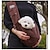 cheap Dog Travel Essentials-Dog Cat Pets Carrier Bag Travel Backpack Shoulder Messenger Bag Dog Carrier Backpack Adjustable Breathable Foldable Solid Colored Classic Cotton Baby Pet puppy Small Dog Training Outdoor Hiking Green