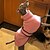 baratos Casacos-casaco de cachorro, roupas para animais de estimação moda gola alta quente velcro lindo manto xale tx5145