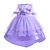 cheap Movie &amp; TV Theme Costumes-Encanto Fairytale Princess Isabela Madrigal Flower Girl Dress Theme Party Costume Tulle Dresses Girls&#039; Movie Cosplay Rosy Pink Blue Fuchsia Dress Halloween Carnival Masquerade World Book Day Costumes