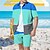 お買い得  メンズシャツセット-男性用 シャツセット ストライプ グラフィック 折襟 ブルー ピンク 3Dプリント ストリート カジュアル 半袖 プリント 衣類 トロピカル風 ファッション デザイナー ハワイアン