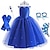 cheap Movie &amp; TV Theme Costumes-Cinderella Fairytale Princess Flower Girl Dress Theme Party Costume Tulle Dresses Girls&#039; Movie Cosplay Blue (With Accessories) Dress Halloween Carnival Masquerade World Book Day Costumes