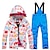 cheap Men&#039;s Active Outerwear-ARCTIC QUEEN Boys Girls&#039; Ski Jacket with Bib Pants Ski Suit Outdoor Winter Thermal Warm Waterproof Windproof Breathable Detachable Hood Snow Suit Clothing Suit for Skiing Snowboarding Winter Sports