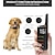 cheap Dog Training &amp; Behavior-Dog Training Shock Collar For Dogs With Remote New Design Dog 3 Modes Beep Vibration Dog Trainer Anti Bark Adjustable Flexible ABS+PC Behaviour Aids For Pets
