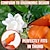 お買い得  ガーデンハンドツール-シリコーンサムナイフフィンガープロテクター野菜収穫ナイフ植物ブレードはさみカッティングリングガーデングローブ