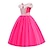 cheap Movie &amp; TV Theme Costumes-Sleeping Beauty Beauty and the Beast Fairytale Princess Belle Flower Girl Dress Theme Party Costume Tulle Dresses Girls&#039; Movie Cosplay Halloween Yellow With Accessories Dress World Book Day Costumes