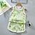 cheap Sets-2 Pieces Toddler Boys Tank &amp; Shorts Outfit Animal Cartoon Sleeveless Set Outdoor Fashion Daily Summer Spring 3-7 Years Blue dinosaur feather car