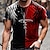 お買い得  男性の 3d t シャツ-男性用 Tシャツ クリスチャンTシャツ グラフィック カラーブロック クルーネック 衣類 3Dプリント カジュアル 日常 半袖 3Dプリント デザイナー ライトウェイト コンフォートシューズ