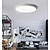 cheap Dimmable Ceiling Lights-Flush Mount Ceiling Lighting Macaron 30cm Ceiling Light Flush Mount Chandelier Dimming Close to Ceiling Light Metal 3 Color Temperatures in One Acrylic Flush Mount,Metal Finish,Wet Location