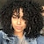 お買い得  最高品質ウィッグ-黒人女性のためのオンバーブラウン変態カーリーウィッグショートカーリーアフロウィッグと前髪合成アフリカ系アメリカ人フルヘアウィッグ14インチ