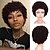 cheap Synthetic Wig-Short Curly Afro Wigs for Black Women Human Hair Natural Kinky Curly Wigs African American Wigs Short Black Kinky Hair Natural Looking 6.5 Inches