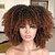 cheap Synthetic Wig-Short Curly Afro Wig With Bangs for Black Women Kinky Curly Hair Wig Afro Synthetic Full Wigs