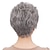 cheap Synthetic Wig-Ladies Gray Short Curly Synthetic Full Hair Wigs Natural Wavy Fluffy Mom Costume Old Grandma Cosplay Wigs for Women