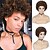 cheap Synthetic Wig-Short Curly Afro Wigs for Black Women Human Hair Natural Kinky Curly Wigs African American Wigs Short Black Kinky Hair Natural Looking 6.5 Inches