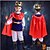 cheap Movie &amp; TV Theme Costumes-Snow White and the Seven Dwarfs Prince Charming Cosplay Costume Outfits Boys Movie Cosplay Cosplay Halloween Red Top Pants Belt Halloween Carnival Masquerade Polyester World Book Day Costumes