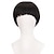cheap Mens Wigs-Short Black Cosplay Wig-1960s Men Synthetic Bowl Cut Mushroom Hair Anime Wigs for Movie Party Halloween Christmas Costume wig