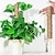 cheap Gardening-Moss Pole for Climbing Plants, Plant Support Pole,for Training Climbing Indoor Potted Plants Grow,Support Indoor Plants to Grow Upwards