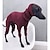 billige Hundetøj-vinter hundefrakke jakke stram hund hættetrøje hund sweater sweater til greyhound whippet,hundetøj Greyhound rullekrave sweatershirt sweater,varmt t-shirt kæledyrstøj (sort,5xl)