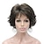 cheap Synthetic Wig-Short Curly Synthetic Wigs Full Capless Hair Women&#039;s Thick Wig for Everyday 12TT26 (Light Reddish Golden Brown with Bright Golden Blonde Highlighted)