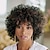 cheap Black &amp; African Wigs-Short Curly Afro Wig with Bangs Afro Kinky Curly Wigs for Black Women No Glue Synthetic Full Wig Heat Resistant Soft Curly Replacement Wigs