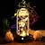Недорогие Оригинальные гаджеты-Ночные светильники Дистанционно управляемый Свадьба Для вечеринок Рождество Multi-цветы