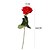 cheap Artificial Flowers-10PCS Bride Holding Flower Simulation Rose Feel Moisturizing Rose Wedding Decoration