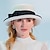 voordelige Feesthoeden-hoeden 100% wol fedora hoed casual theekransje elegant met strik hoofddeksel hoofddeksel