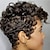 tanie Peruki syntetyczne modne-włosy krótkie czarne kręcone włosy peruki dla czarnych kobiet syntetyczne krótkie peruki dla czarnych kobiet afroamerykanki peruki dla kobiet