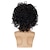 Недорогие Мужские парики-мужской короткий кудрявый парик черный синтетический рокерский парик калифорнийский костюм на Хэллоуин культура парик с мокрым взглядом