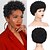 cheap Synthetic Wig-Fashion Short Afro Curly Wig for Black Women Human Hair Wigs Ombre Brown Kinky Curly Wig African American Wigs Brazilian Virgin Human Hair Afro Wigs