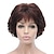 cheap Synthetic Wig-Short Curly Synthetic Wigs Full Capless Hair Women&#039;s Thick Wig for Everyday 12TT26 (Light Reddish Golden Brown with Bright Golden Blonde Highlighted)