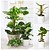 cheap Gardening-Moss Pole for Climbing Plants, Plant Support Pole,for Training Climbing Indoor Potted Plants Grow,Support Indoor Plants to Grow Upwards