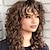 cheap Black &amp; African Wigs-Curly Wig with Bangs for Women-LONAI Long 23Inch Chocolate Brown Kinky Wigs with Wispy Bangs Curly Gorgeous Shag Synthetic Wig for Daily Use Party Cosplay