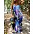 cheap Maxi Dresses-Women&#039;s Slip Dress Boho Dress Print Dress Long Dress Maxi Dress Streetwear Casual Floral Striped Tribal Backless Print Outdoor Daily Vacation Strap Sleeveless Dress Regular Fit Pink Red Blue Spring