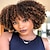 cheap Black &amp; African Wigs-Short Curly Afro Wig with Bangs Afro Kinky Curly Wigs for Black Women No Glue Synthetic Full Wig Heat Resistant Soft Curly Replacement Wigs