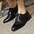 cheap Women&#039;s Oxfords-Women&#039;s Oxfords Brogue Plus Size Wingtip Shoes Outdoor Daily Solid Colored Low Heel Chunky Heel Pointed Toe Elegant Casual Minimalism PU Leather PU Lace-up Black Brown