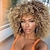 cheap Black &amp; African Wigs-Omber Brown Kinky Curly Wig for Black WomenShort Curly Afro Wigs with BangsSynthetic African American Full Hair Wig 14inch