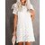 cheap Casual Dresses-Women&#039;s Work Dress Fashion Lace Dress Semi Formal Dress Mini Dress Crew Neck Lace Plain Short Sleeve Loose Fit White Spring Summer S M L XL XXL