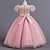 cheap Party Dresses-Kids Girls&#039; Party Dress Solid Color Flower Short Sleeve Performance Wedding Sequins Elegant Princess Polyester Maxi Pink Princess Dress Tulle Dress Summer Spring 4-13 Years Multicolor White Pink