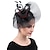 זול כובעים וקישוטי שיער-מפגשים פּוֹלִיאֶסטֶר חתונה מסיבת תה קנטקי דרבי מירוץ סוסים יום הנשים וינטאג&#039; Klassinen אלגנטית עם נוצות טול כיסוי ראש כיסוי ראש